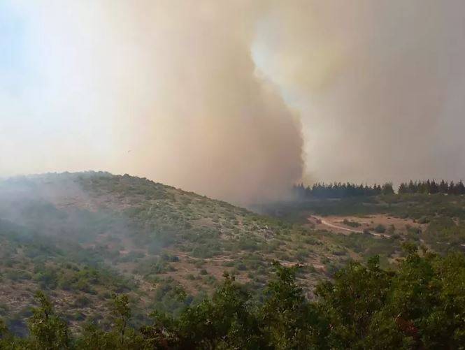 Balıkesir'deki orman yangını kontrol altına alındı 11